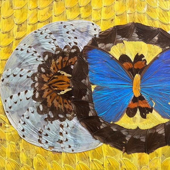 Vintage 40s Brazillian Butterfly Inlay Tray with Bamboo Coasters - Picture 4 of 9